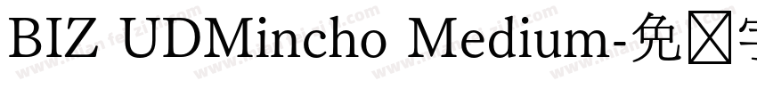 BIZ UDMincho Medium字体转换